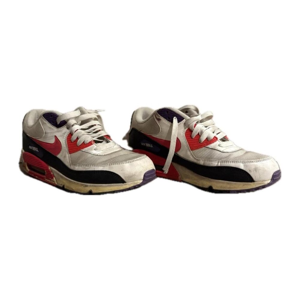 (US M 10.5) Nike Men's Air Max 90 Essential Raptors
